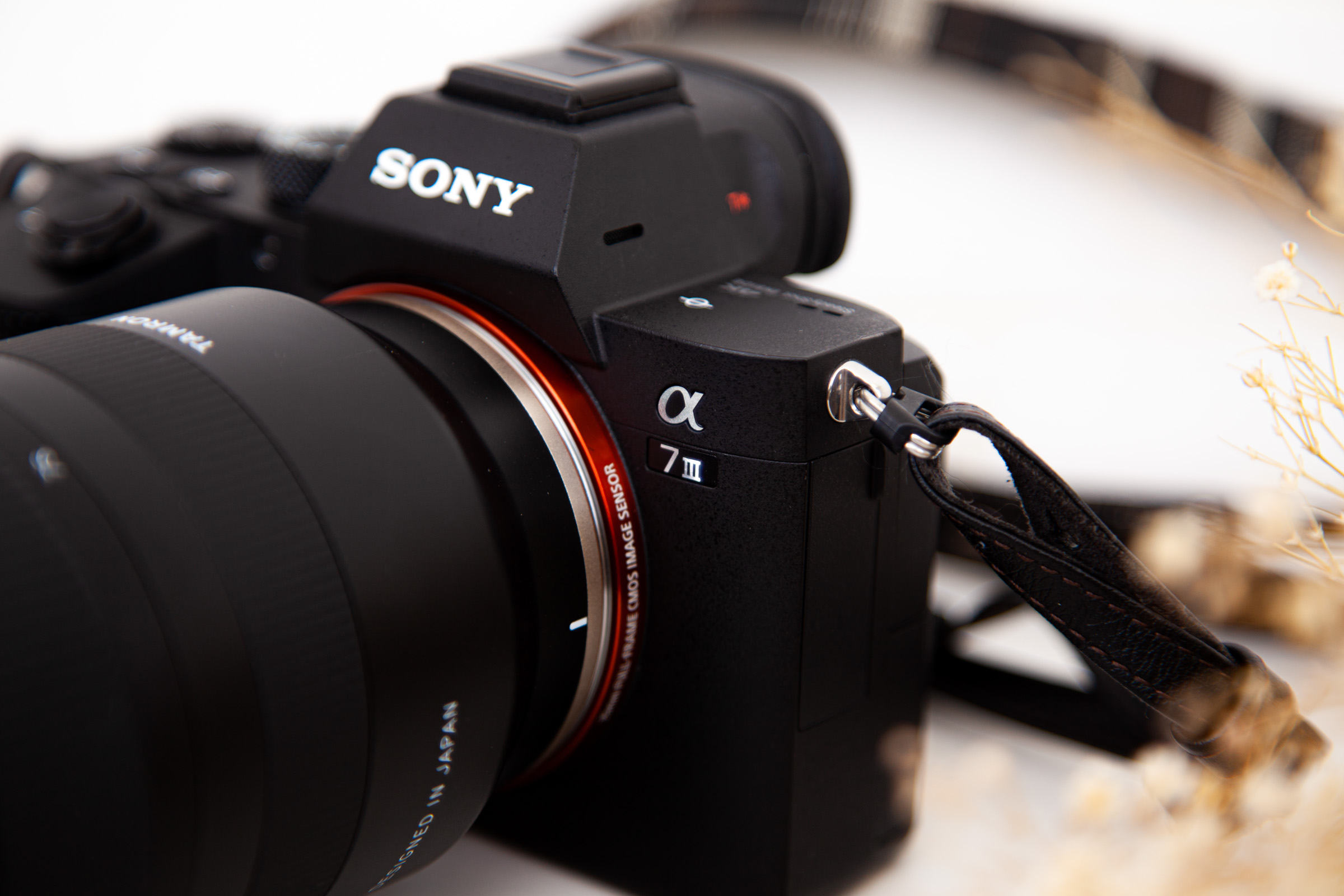 フルサイズミラーレスカメラ SONY α7 III を購入しました | 岡山